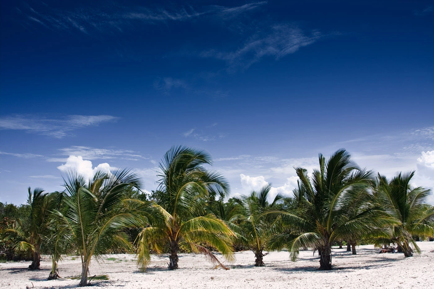Cuba 2009 travel photograph Canon EOS 40D re-developed Lightroom shot 23