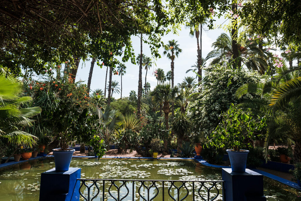 majorelle garden marrakech colors photos
