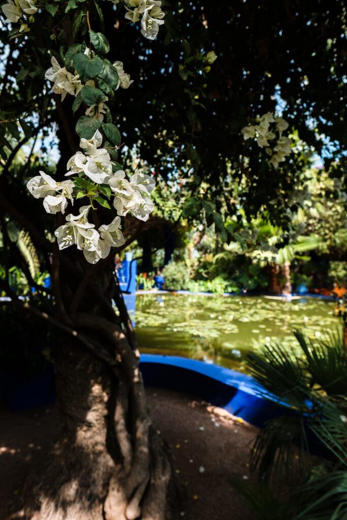 marrakech majorelle garden