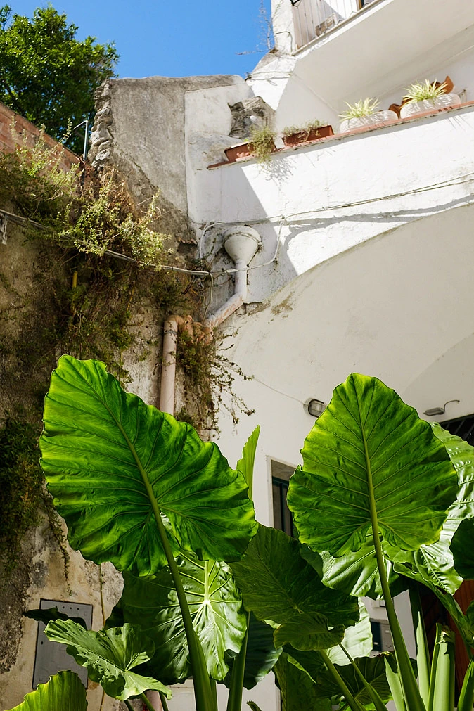 Italy travel photo trip Fujifilm X-Pro2 X100T shot 36
