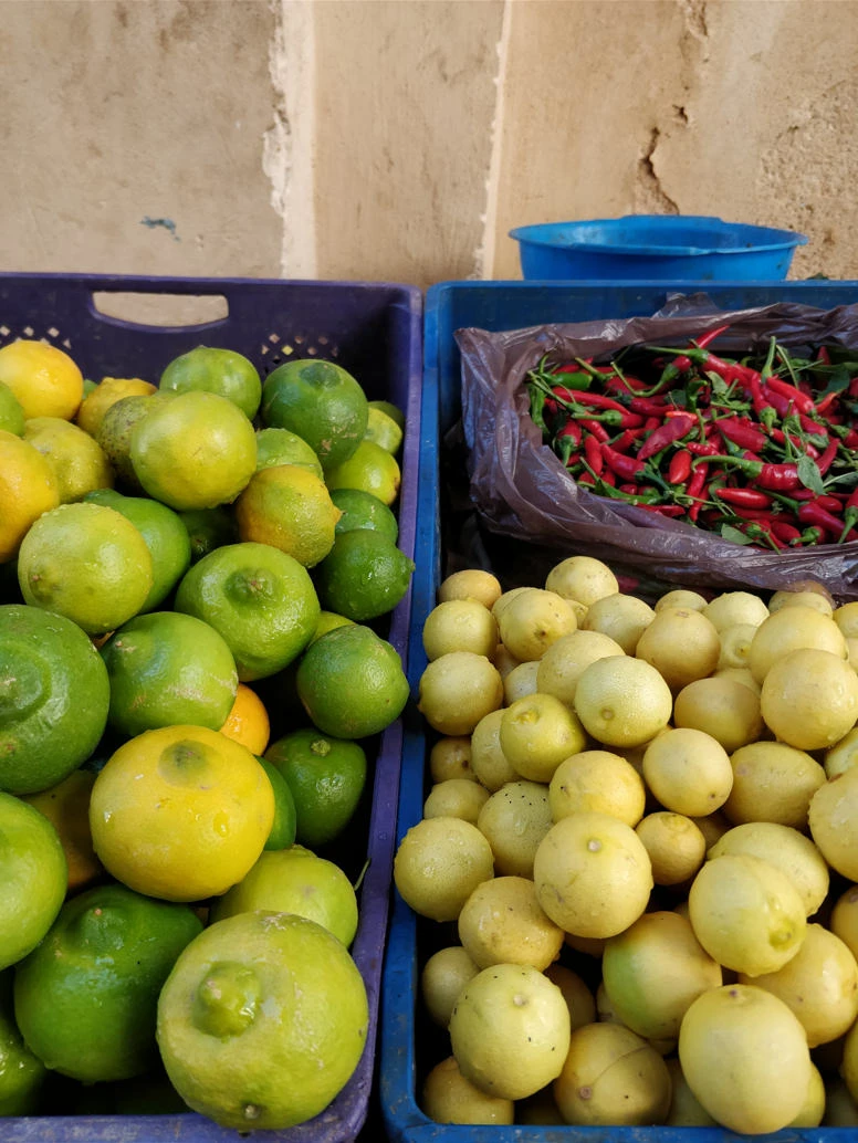 Morocco travel photo sample OnePlus 5T smartphone camera shot 19