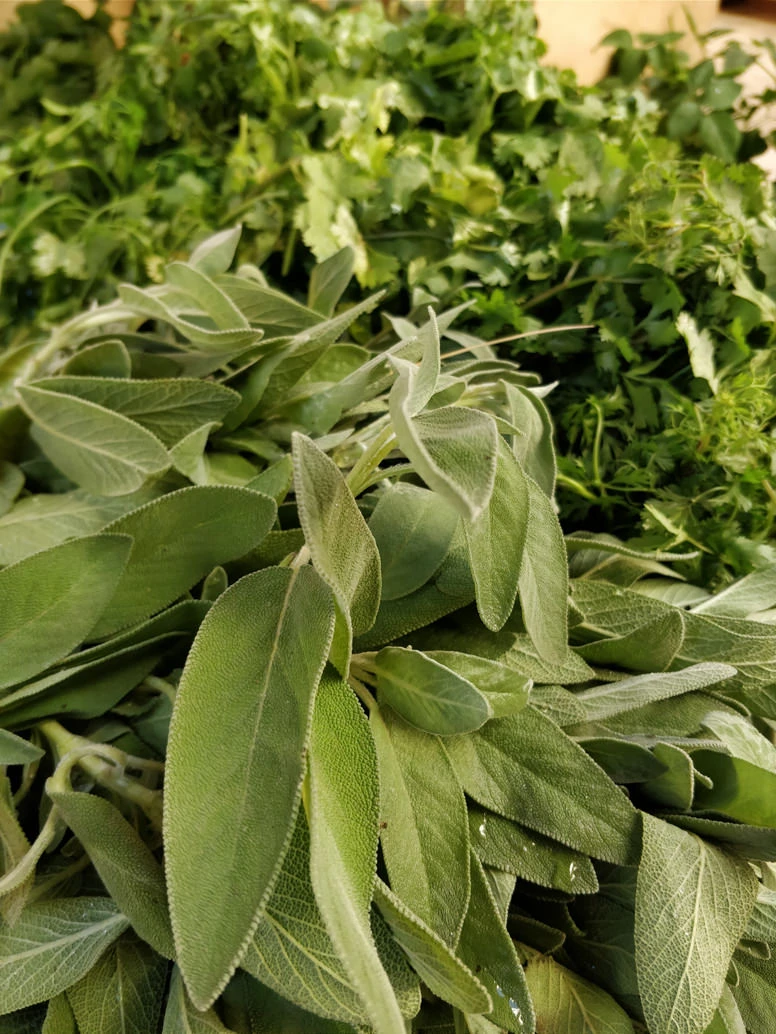 Morocco travel photo sample OnePlus 5T smartphone camera shot 20