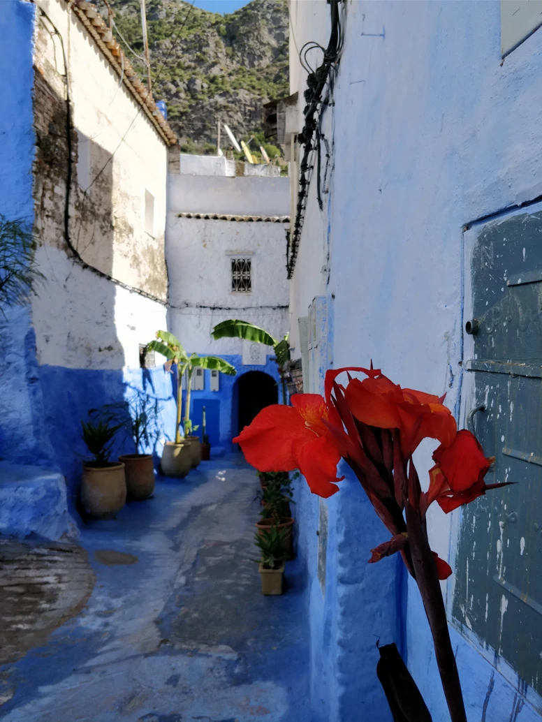 Chefchaouen blue city Morocco travel photo OnePlus 5T smartphone shot 11