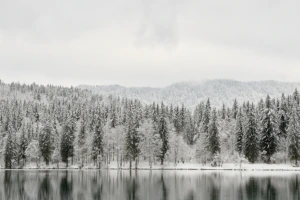 Snow-covered forest mirrored in the still Fusine Lake in Friuli Venezia Giulia
