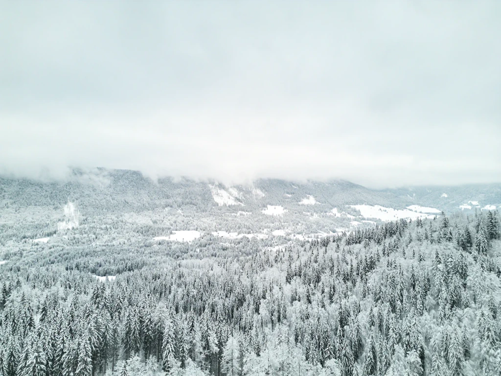 Aerial view of a snowy valley and forest in mist at the Fusine Lakes in Friuli Venezia Giulia