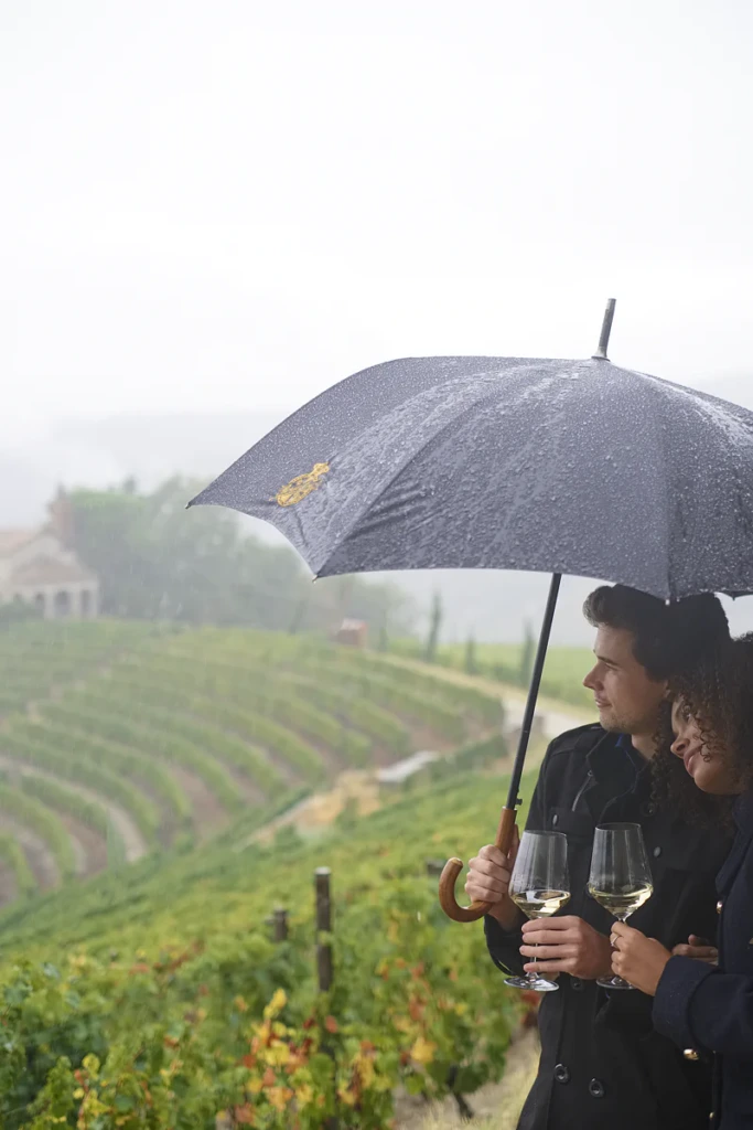 Couple under an umbrella in the rainy Vallebelbo vineyard in Piedmont, lifestyle photography