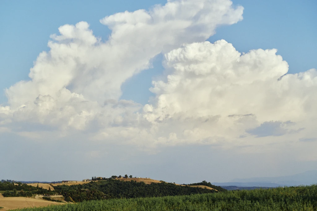 Guests enjoying the Tuscan countryside view at the NoChaser event, Tenuta d'Arbia.