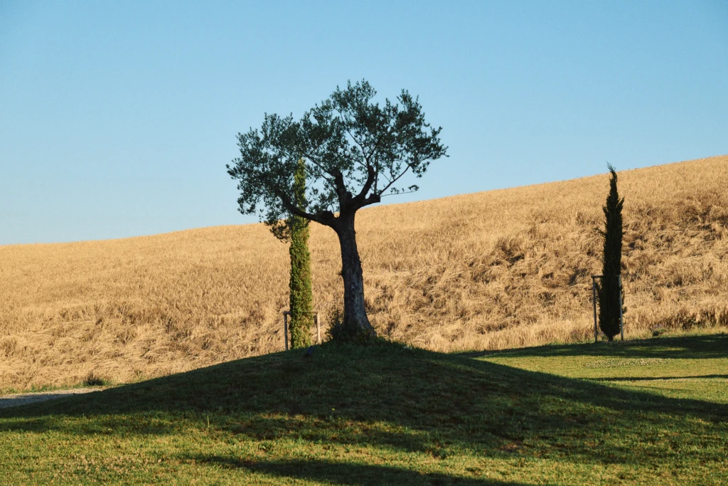NoChaser event at Tenuta d'Arbia, Tuscan countryside