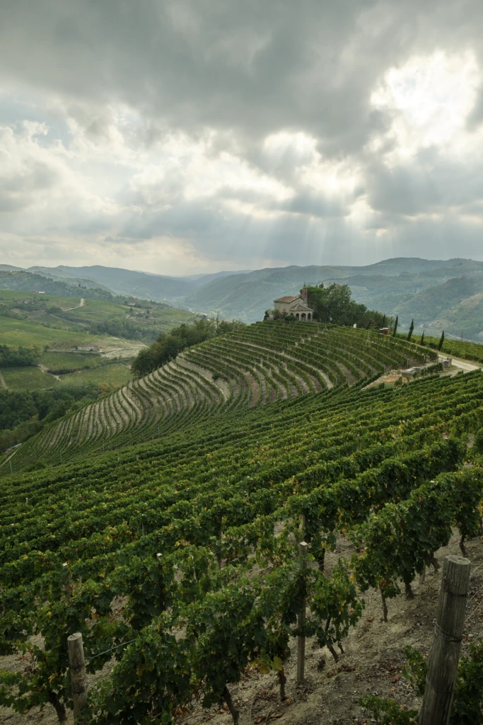 Vertical view of terraced hillside vineyards climbing toward the hilltop chapel of Vallebelbo