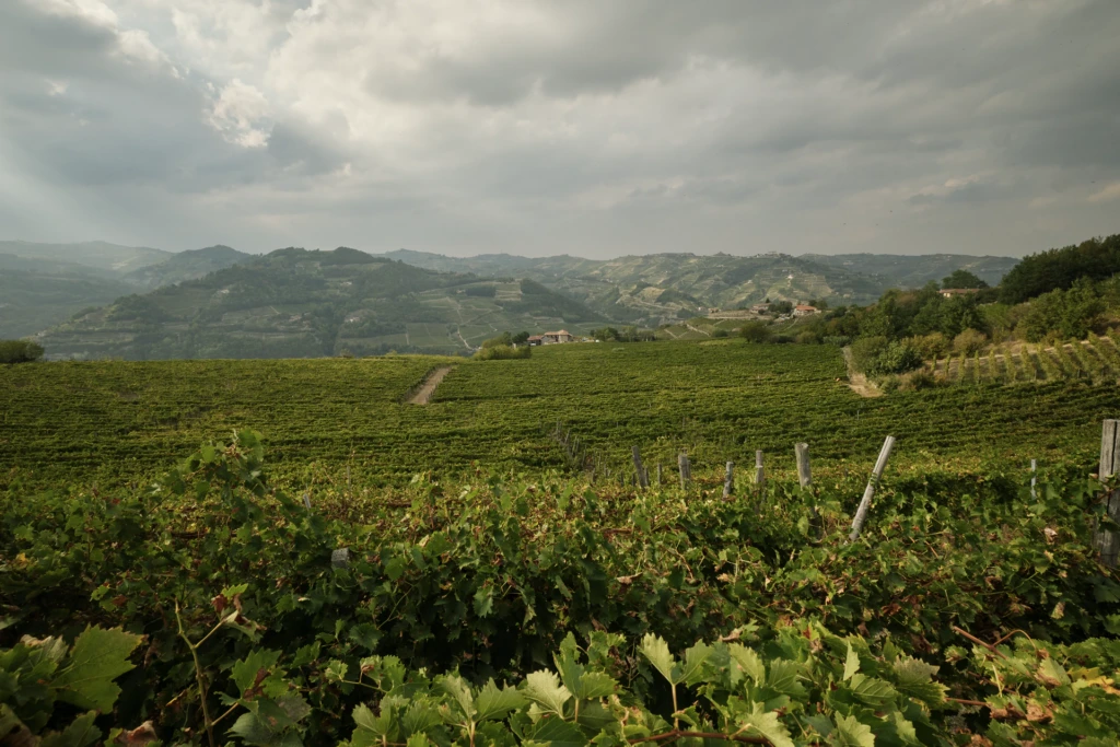 The stone chapel and bell tower seen from the approach road through the vineyard