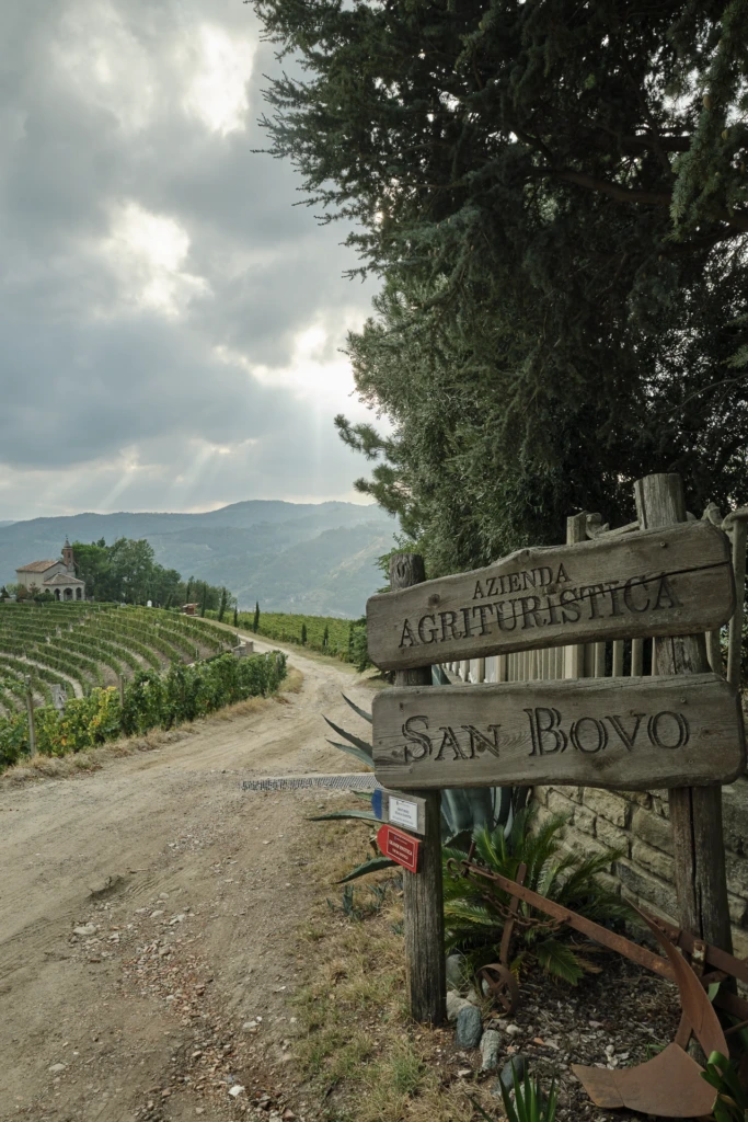 A DOCG Asti - Moscato d'Asti vineyard signage plaque among the vines