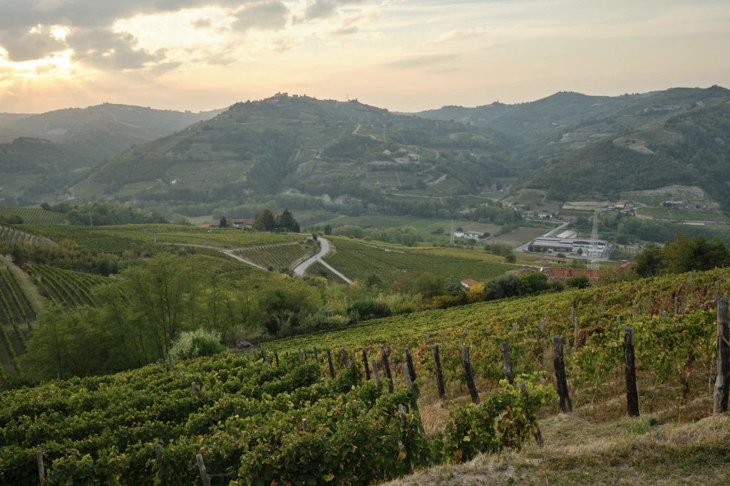 Telephoto view of an industrial building labeled Vallebelbo among the vineyard hills
